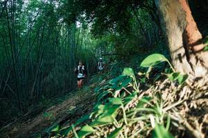 BIB: 
                            <button type="button" onclick="openModal(28124227)" class="btn btn-primary btn-sm float-right btn-popup" data-toggle="modal" data-target=".modal-high-quality">
                        <i class="fas fa-shopping-cart"></i> Add to Cart
                    </button>
                                            <button type="button" onclick="isThisMe(28124227, true)" class="btn btn-success btn-sm float-right btn-popup btn-isme hidden" data-toggle="tooltip" data-placement="bottom" title="นี่คือรูปของคุณใช่ไหม คลิกที่นี่เพื่อเอาเข้าอัลบั้ม">
                        <i class="fas fa-plus"></i> Add to album
                    </button>
                    <button type="button" onclick="isThisMe(28124227, false)" class="btn btn-warning btn-sm float-right btn-popup btn-isnotme hidden">
                        <i class="fas fa-ban"></i> Remove from album
                    </button>